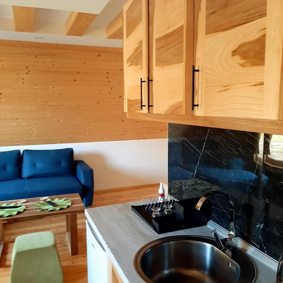 Holiday Home Ella - Apartman Ella Mokra Gora Dış mekan fotoğraf